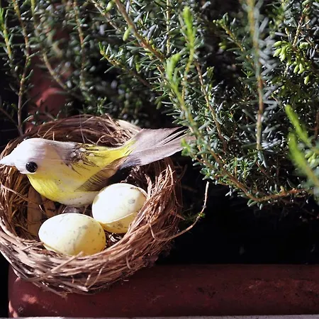 Dei Laghi Bed and Breakfast 3*