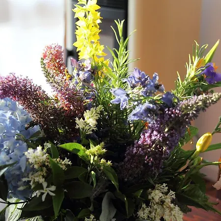 Bed and Breakfast Dei Laghi Magreglio